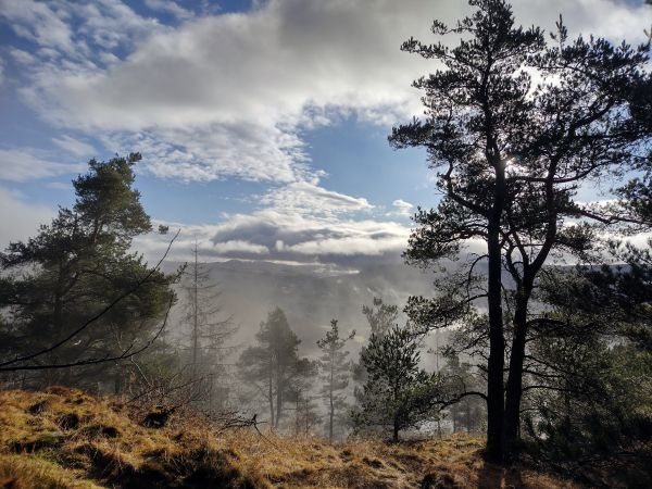 Craigower Summit